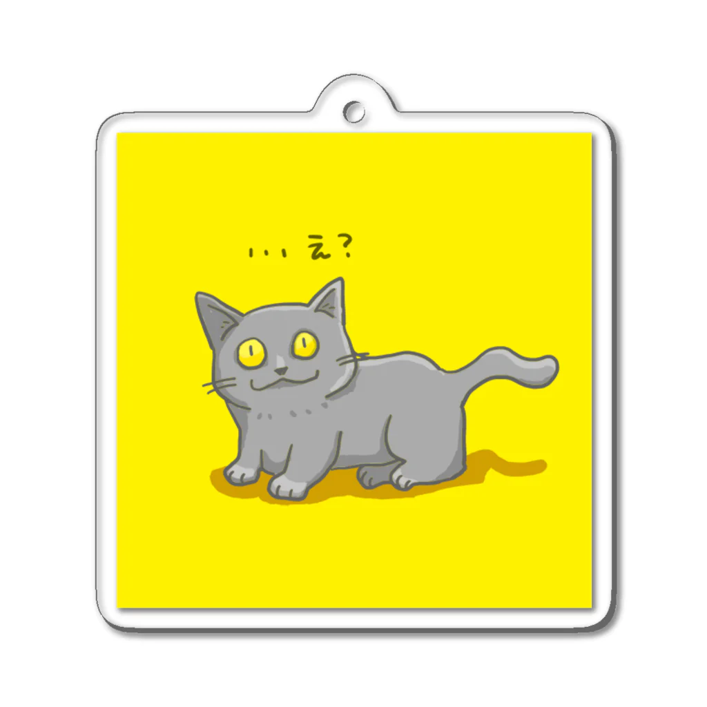 もちけらの話を聞いてなかった猫ちゃん。 Acrylic Key Chain