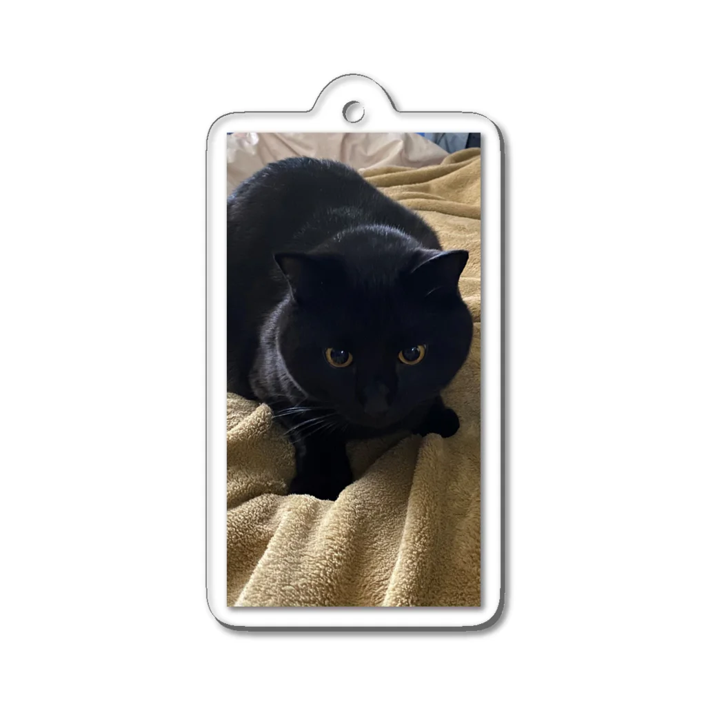 yottin59617の迷い黒猫キキ Acrylic Key Chain