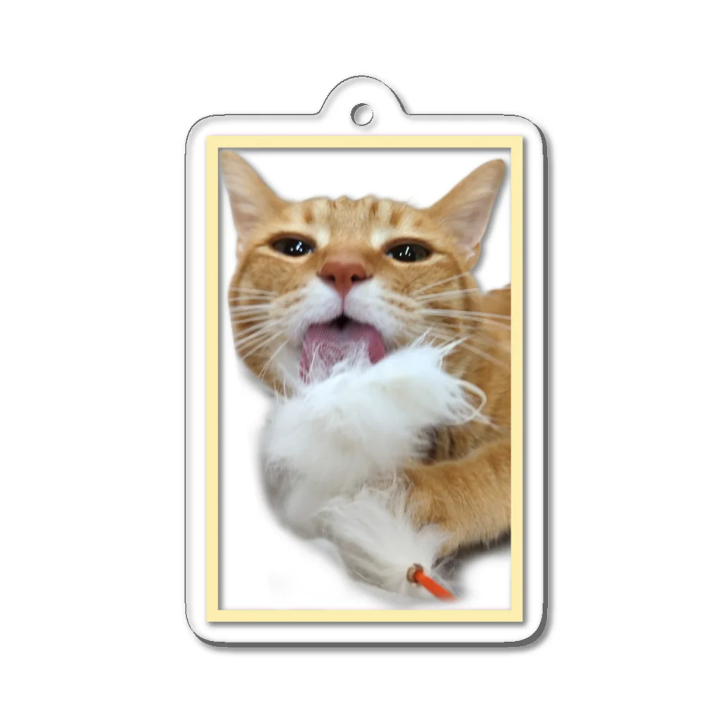 motikiro2の猫じゃらしなめてるどんくさ Acrylic Key Chain