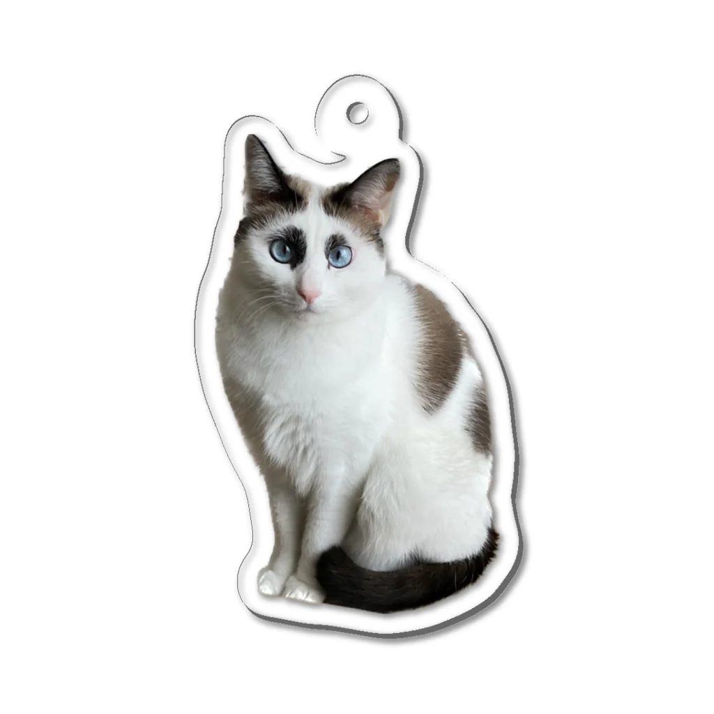 amiyukiの保護猫ゆき Acrylic Key Chain