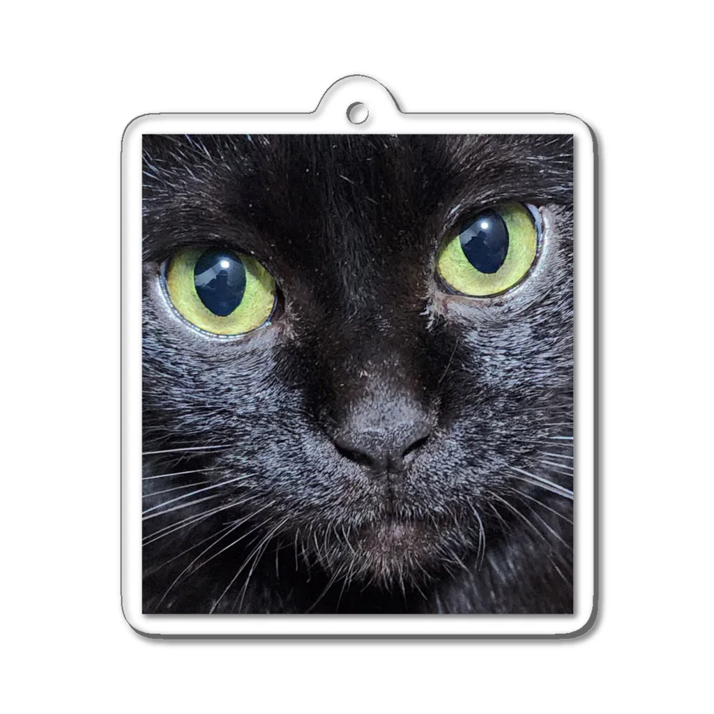 YSD-yamatoのPrettyCat　ヤマト Acrylic Key Chain