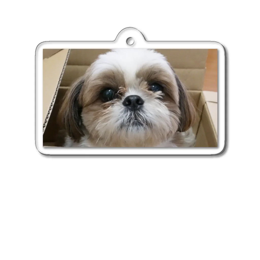 シーズー犬ふくちゃんのお店の癒しのふくちゃん Acrylic Key Chain