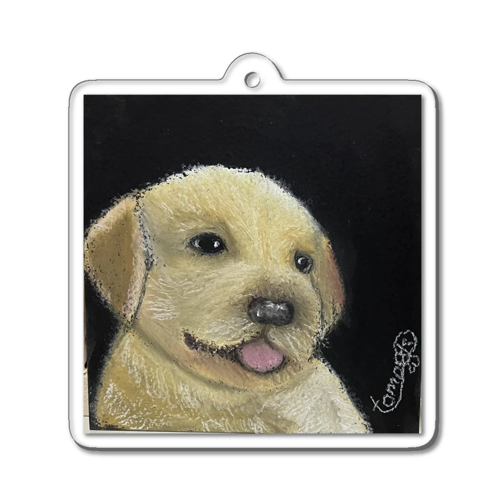 チョークアートグッズ😊のチョークアート　子犬🐶 Acrylic Key Chain