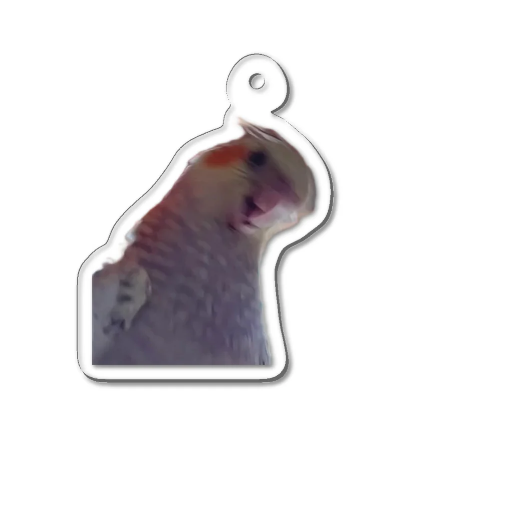 【ゆいみん】オカメインコとキノコの雑貨屋さんの荒ぶるオカメインコ Acrylic Key Chain