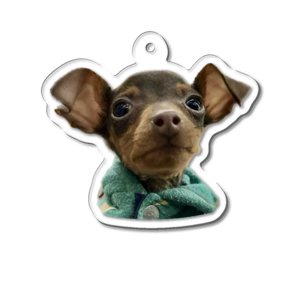 Habirle_PrinceのBow Wow Baby Acrylic Key Chain