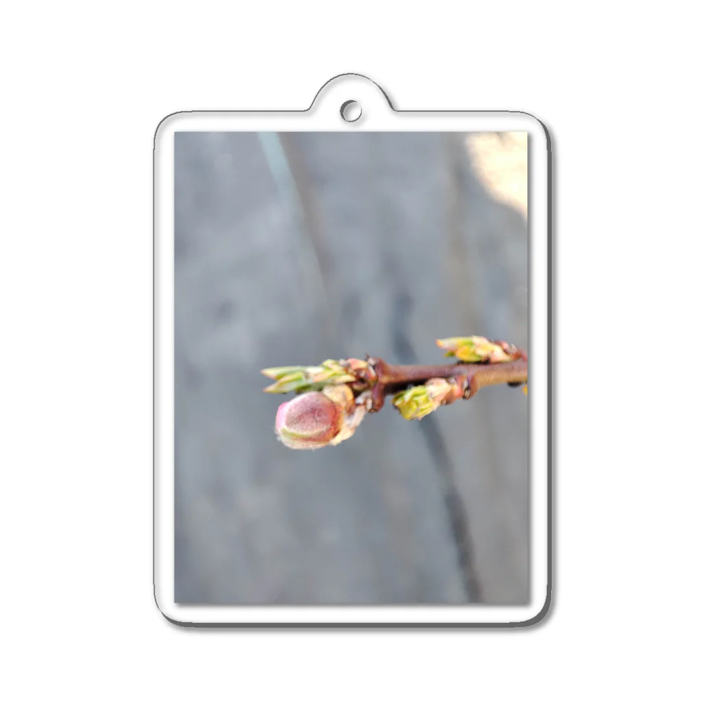 aya_ayaの芽生え Acrylic Key Chain