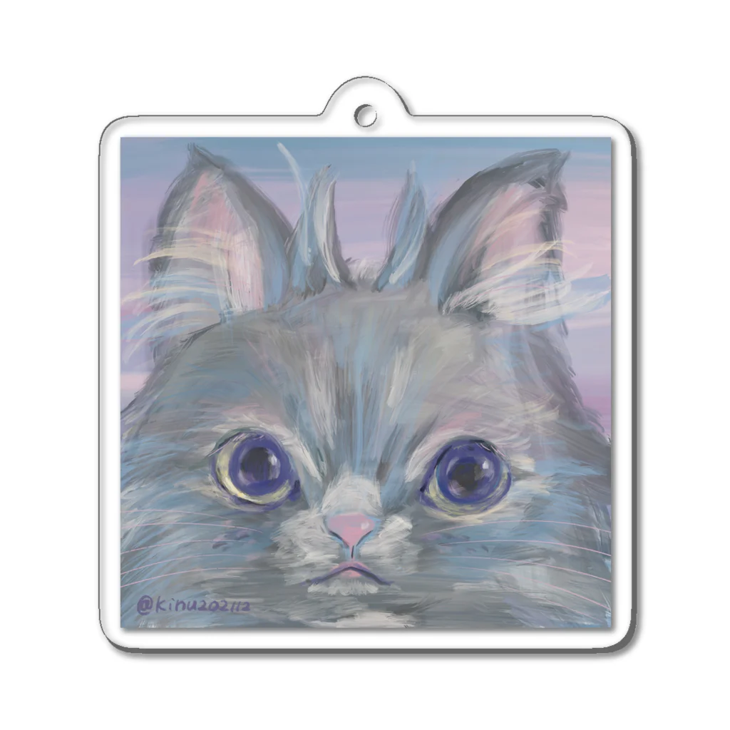 猫のきぬくんのお店のフクロウじゃないもん Acrylic Key Chain