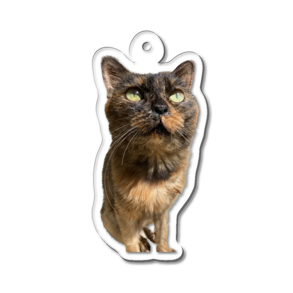 shop さびにすとのサビ猫みやびちゃん Acrylic Key Chain