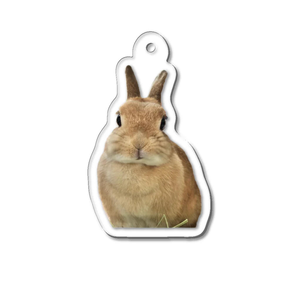 うさのロゴグッズの最新ウサグッズ Acrylic Key Chain