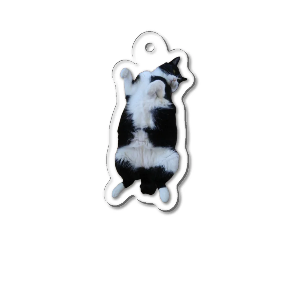 ごまティー＆花の猫の花ちゃんへそ天 Acrylic Key Chain