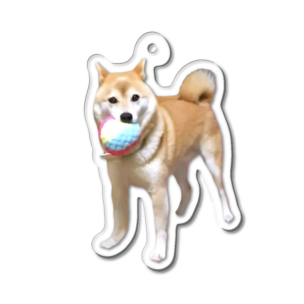 inubotのボールキャッチできておどろく犬 Acrylic Key Chain