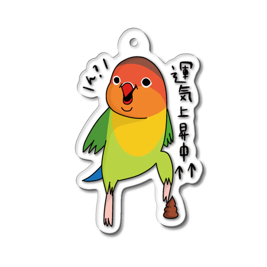 久保田キコリの運気UP【ルリコシボタンインコ】 Acrylic Key Chain