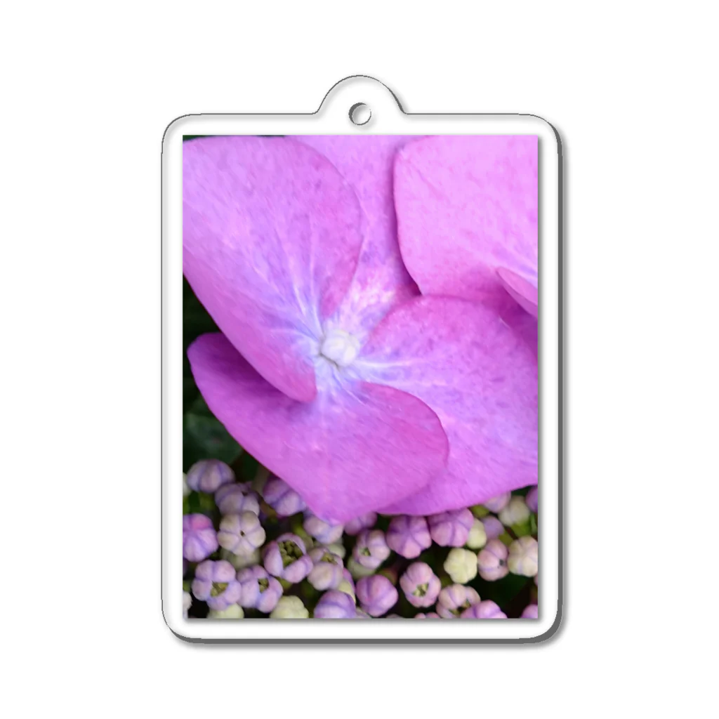 CHERRYSTONE🍒猫眼石検定の美しい紫陽花 Acrylic Key Chain