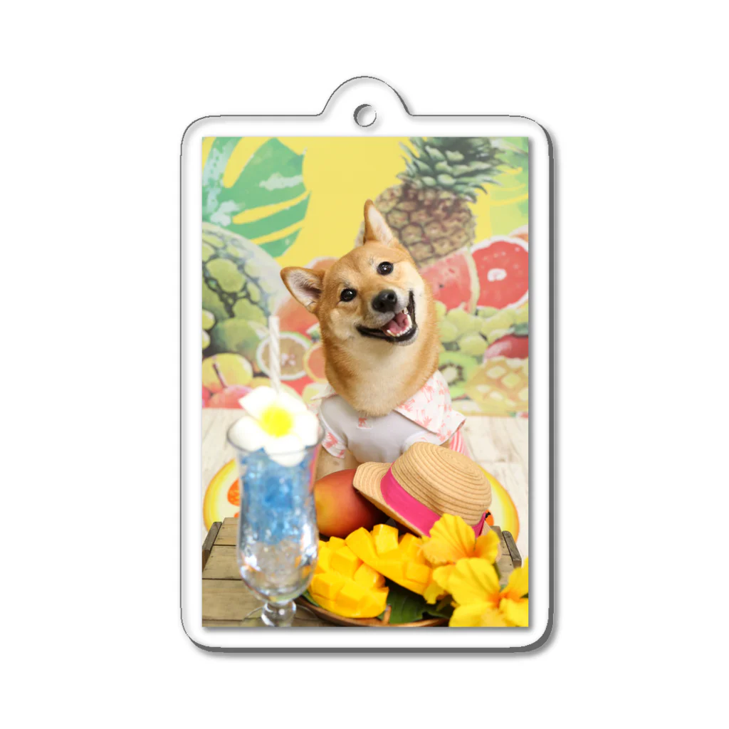 柴犬グッズ専門店 あられ堂の柴犬　真夏のリゾート001 Acrylic Key Chain