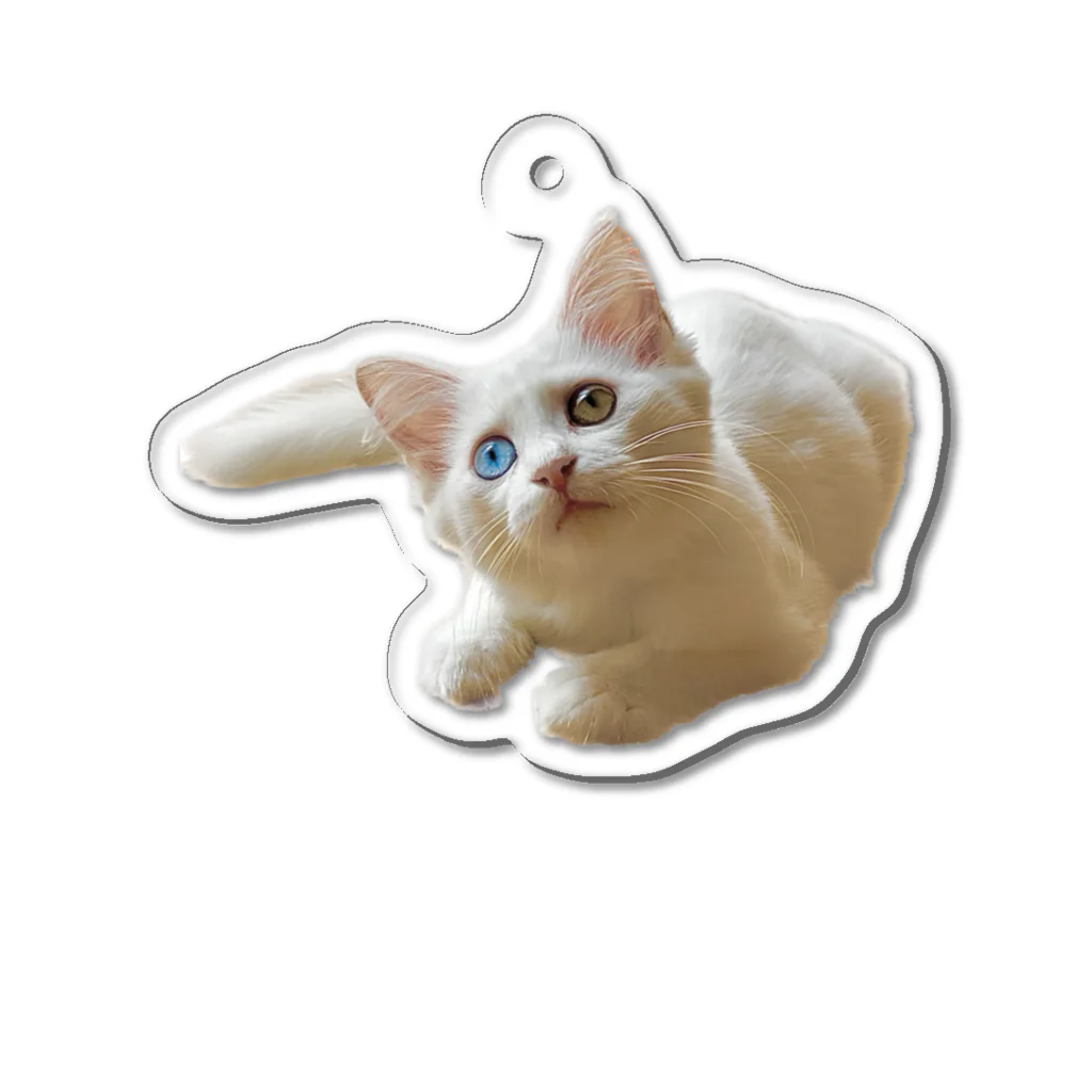 エマメ本舗のオッドアイの白猫エマメちゃんグッズ Acrylic Key Chain