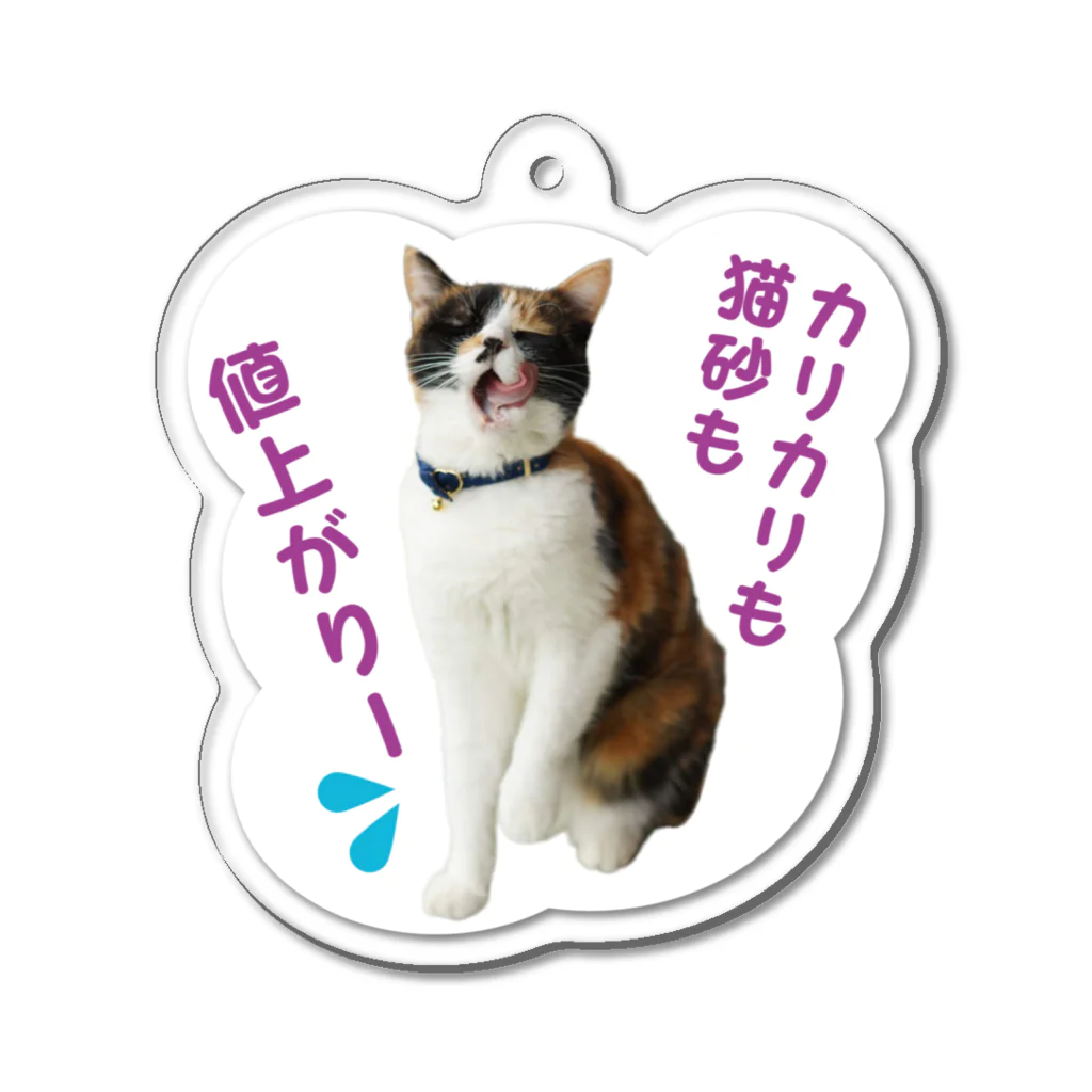 猫の手づくり首輪　こげねこの物価高騰を叫ぶおこげさん Acrylic Key Chain