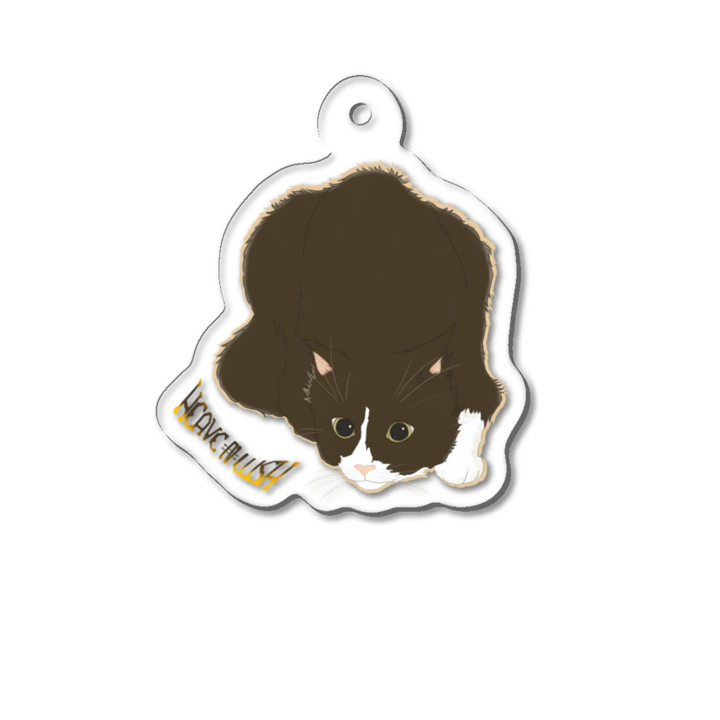 HEAVE₦LUSHの独特なポーズの猫アクキー Acrylic Key Chain