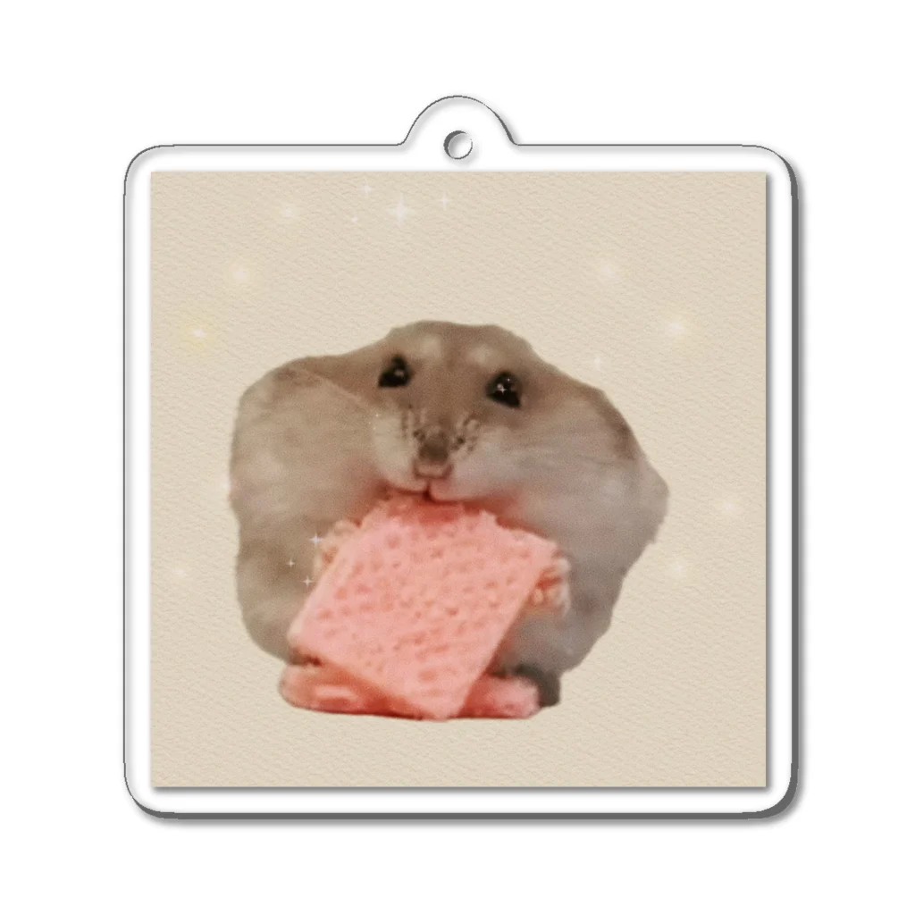 square SIRUのしかくハム　shiru♂ Acrylic Key Chain