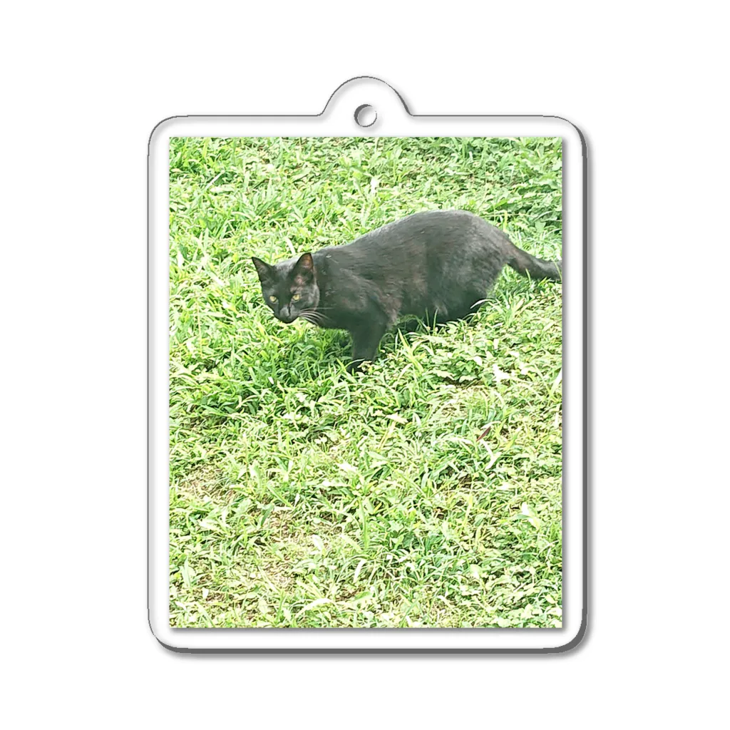 天光のねこ部屋の黒猫カカオの庭 Acrylic Key Chain