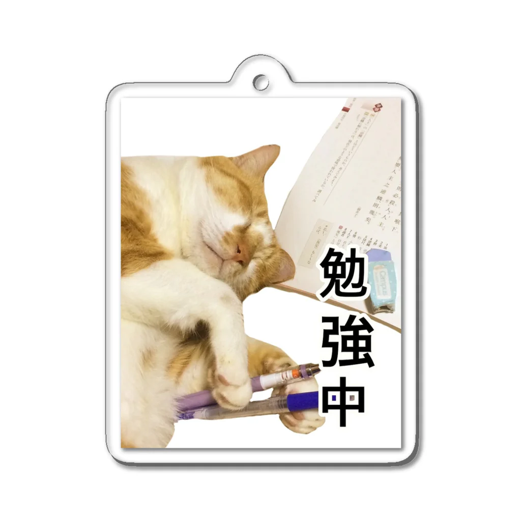 天光のねこ部屋のココアさんはお勉強中(笑) Acrylic Key Chain