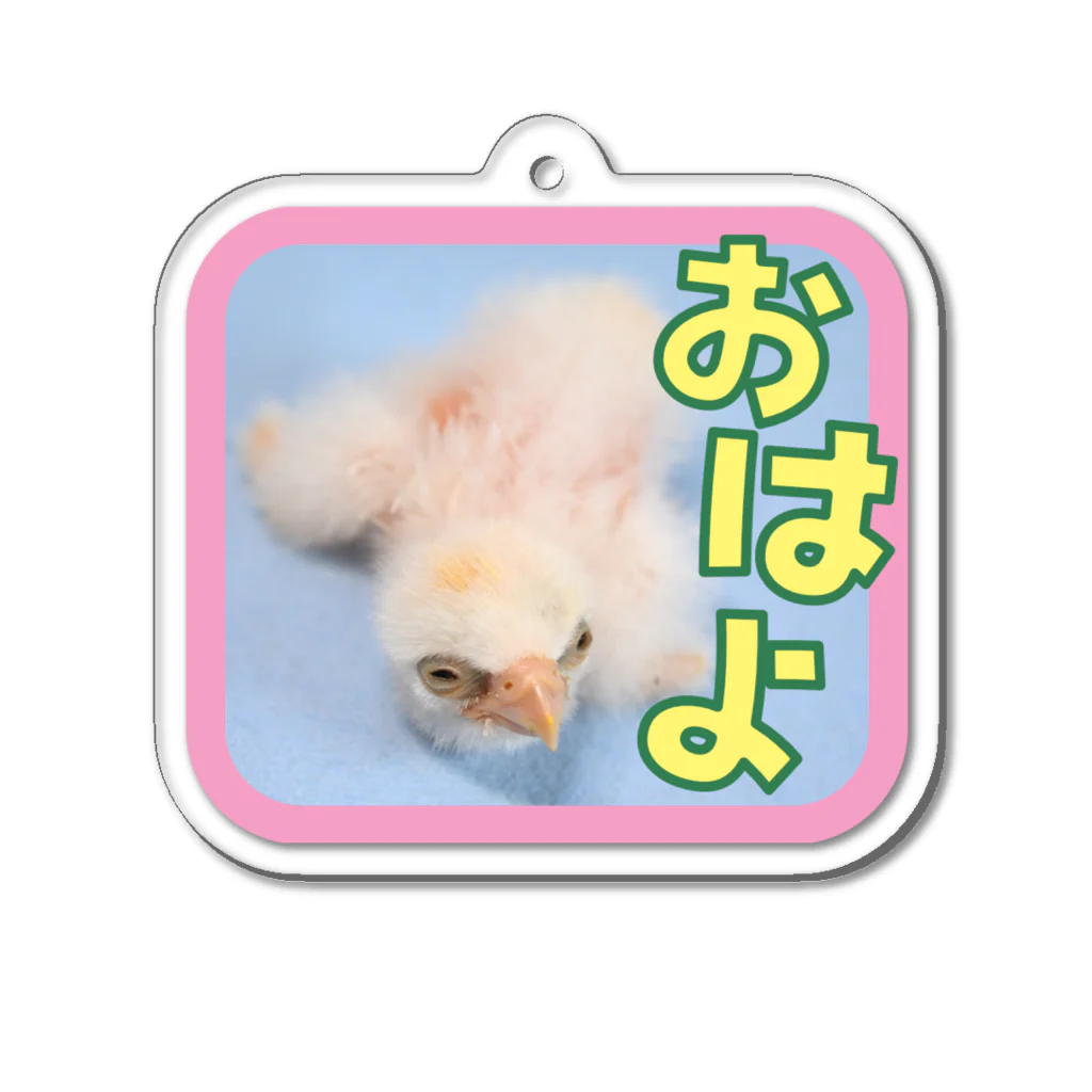 猛禽とインコの孵化４日目・隼ヒナおはよう Acrylic Key Chain