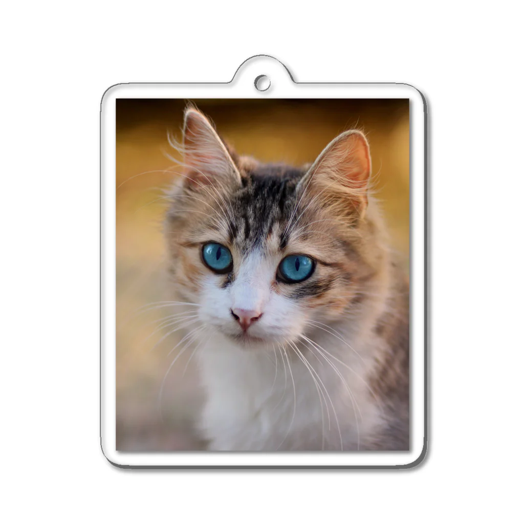 猫アートグッズのAdina Voicu 《Tabby cat with blue eyes》 Acrylic Key Chain