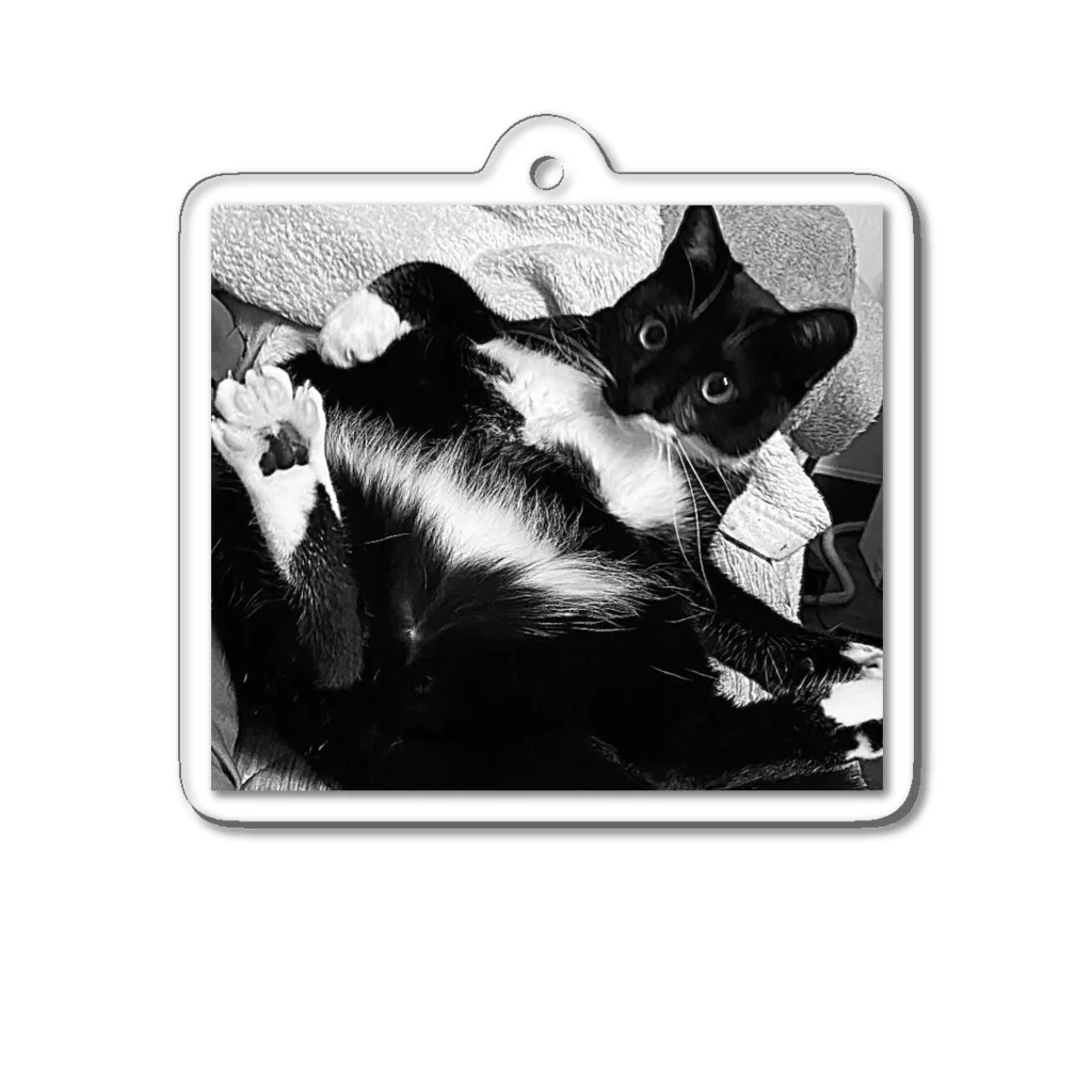 terumbaのsexy cat Acrylic Key Chain