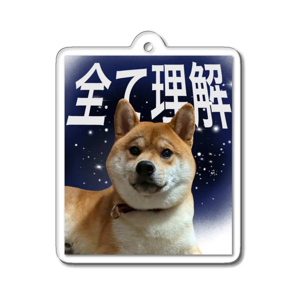 ライダーの全てを理解した柴犬 Acrylic Key Chain