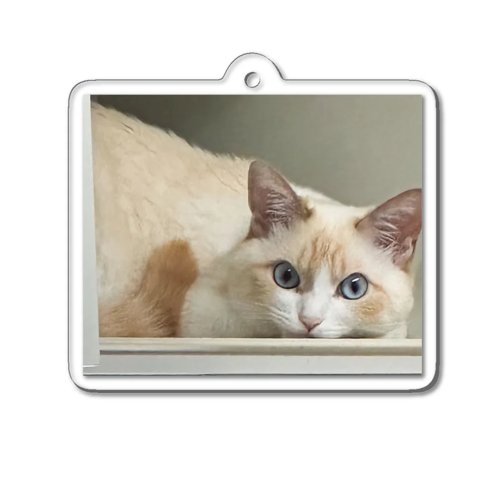 SUGARのsleep on a shelf Acrylic Key Chain