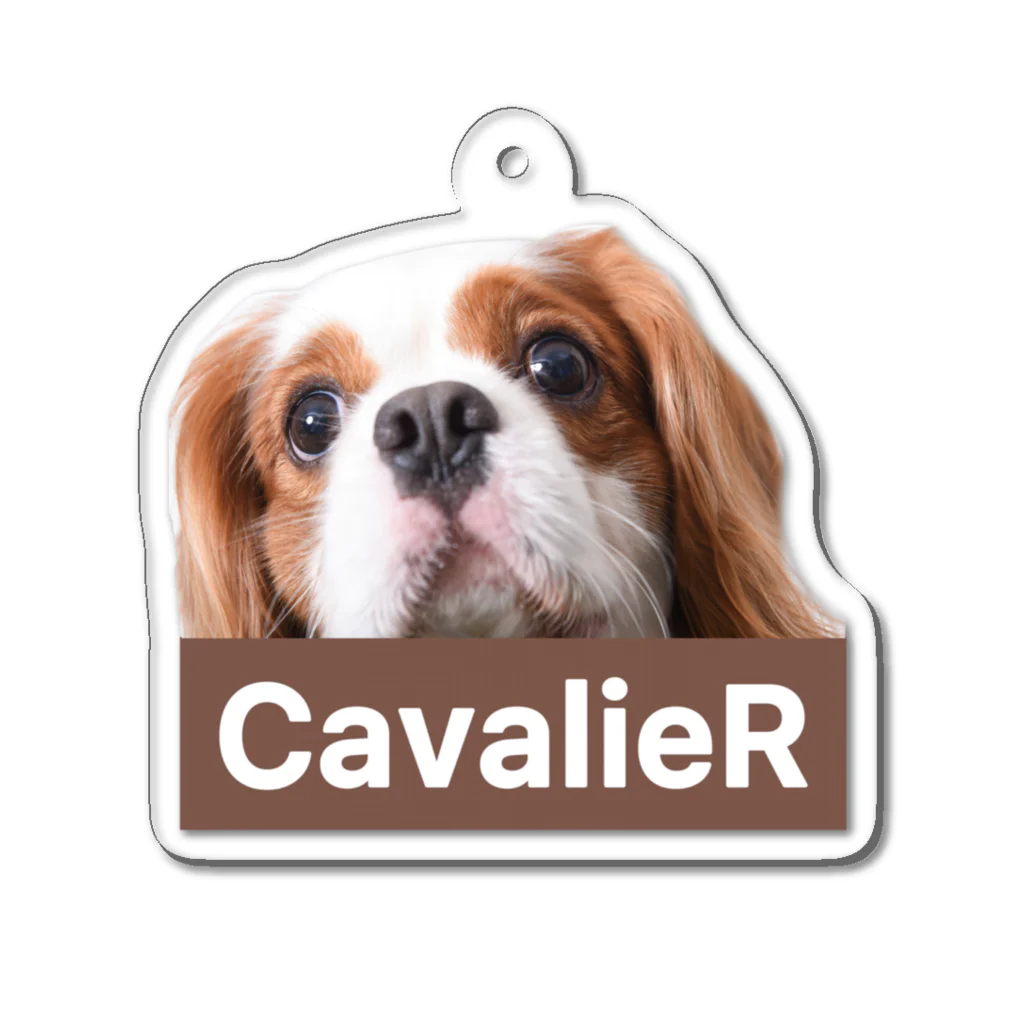 CavalieR【キャバリアール】のCavalieR キャバリア アクリルキーホルダー