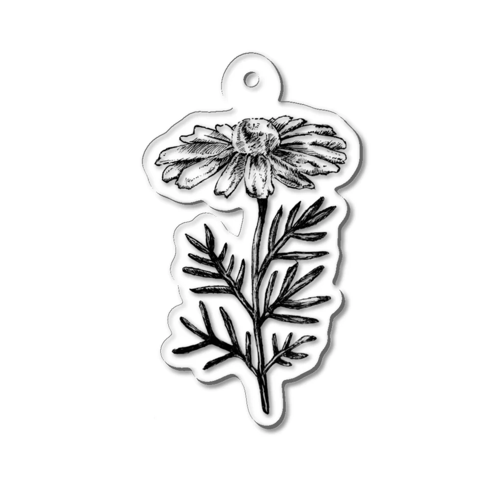 ペンで描く植物の詩のchamomile(黒) Acrylic Key Chain