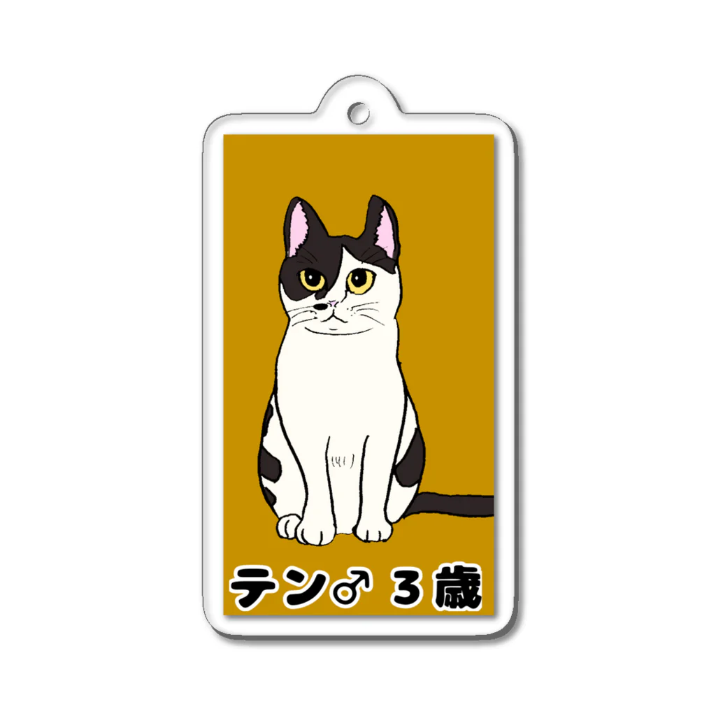 toru_utsunomiyaの猫のテンくん Acrylic Key Chain