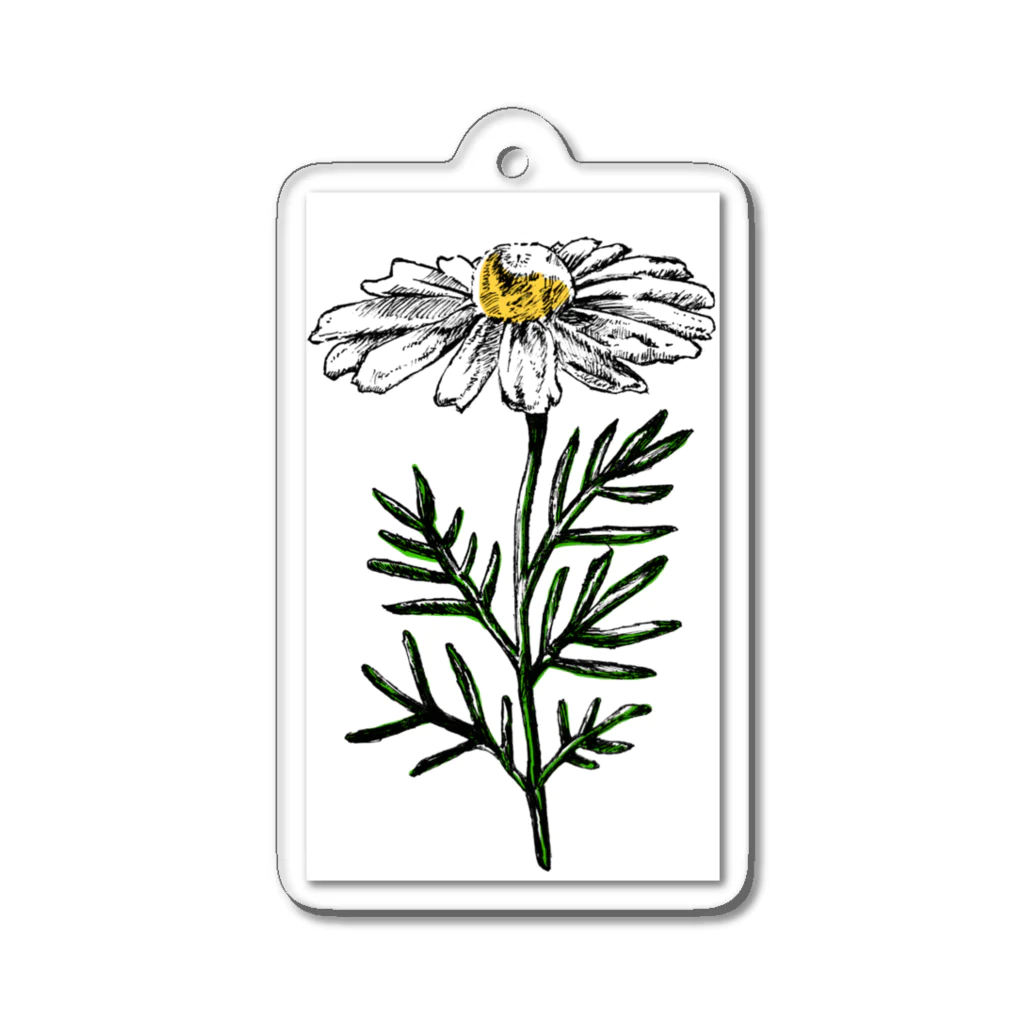 ペンで描く植物の詩のchamomile(カラー) Acrylic Key Chain