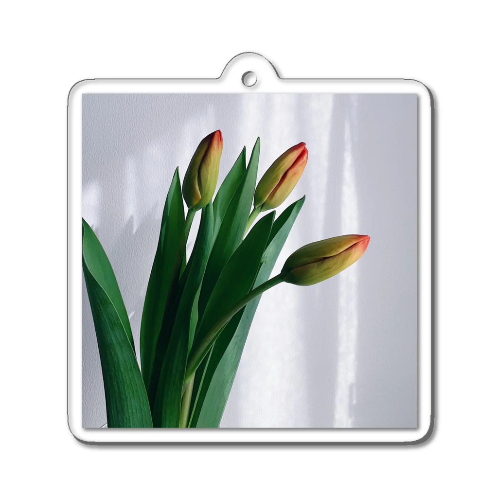 035ザッカテンのtulip Acrylic Key Chain