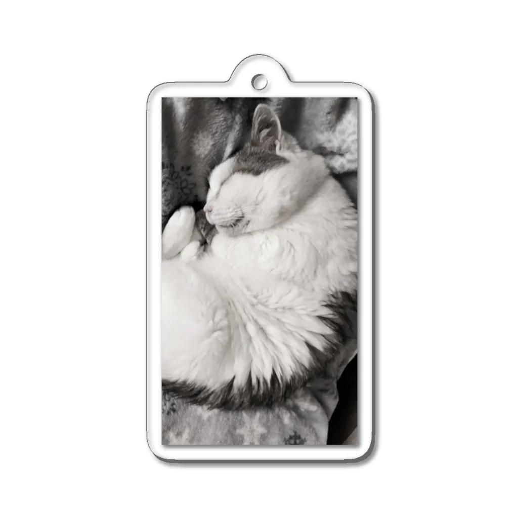 KAZU SHOPの可愛い猫のお昼寝　癒し Acrylic Key Chain