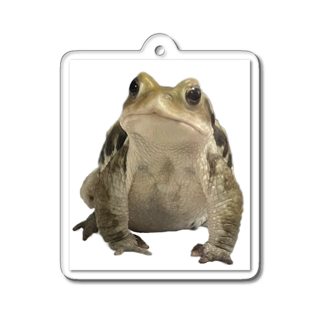 my sweetest toadのmy sweetest toad 2023 ver.A Acrylic Key Chain