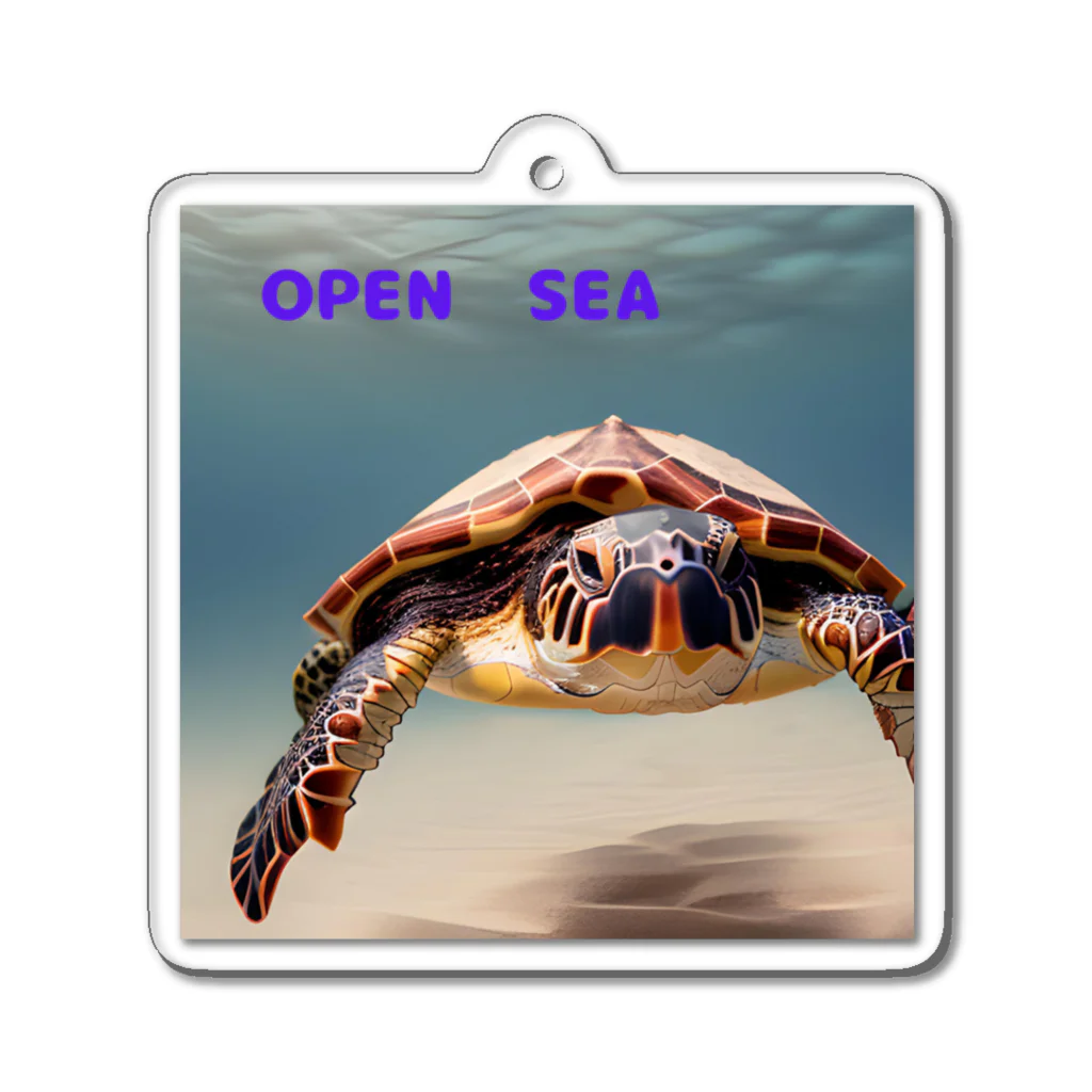 POPstore-japanのOPEN　SEA Acrylic Key Chain