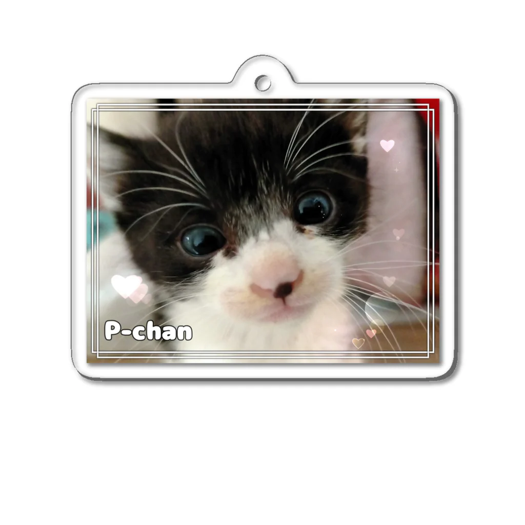 nekousagi*∩..∩の保護猫うるうるPちゃん Acrylic Key Chain