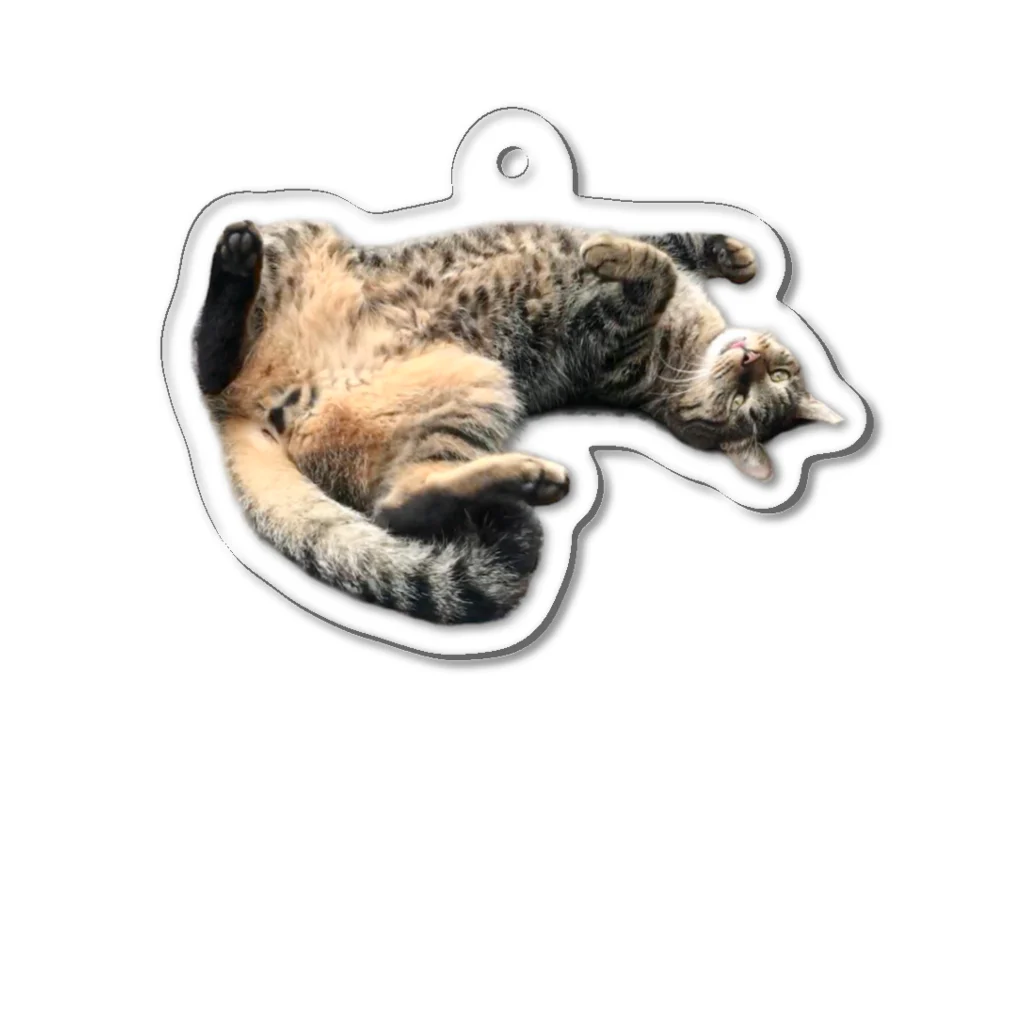 SnapTail by 交流猫動画のキジトラ猫ニャッハーヘソ天 Acrylic Key Chain