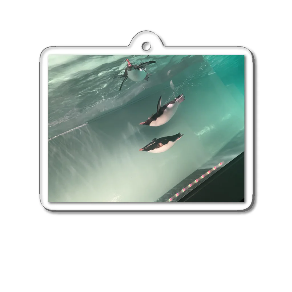 ASHLEY CARAVAN のペンギン Acrylic Key Chain