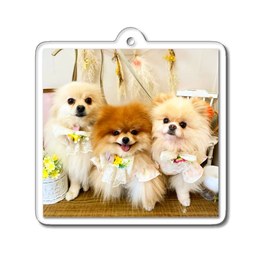 3pomeranian-leo-house　グッズショップのPomeranianlovers　ポメラニアン Acrylic Key Chain