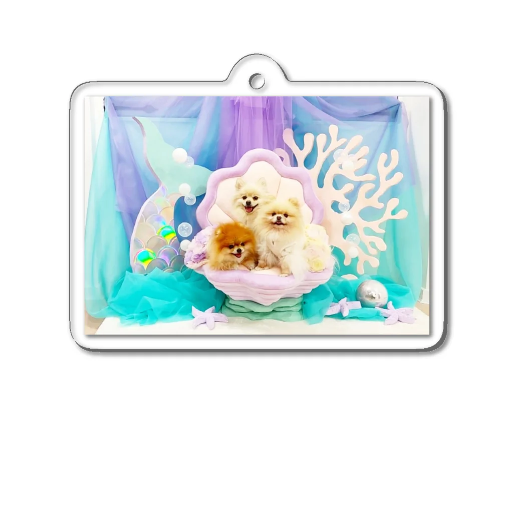 3pomeranian-leo-house　グッズショップの【fantasy】pomeranianworld ポメラニアン Acrylic Key Chain