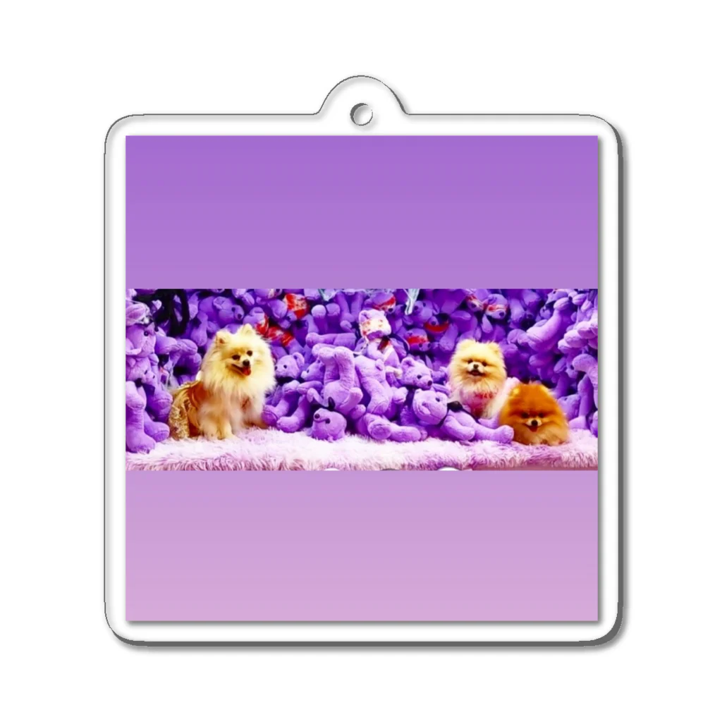 3pomeranian-leo-house　グッズショップのGothic & Lolita  ポメラニアン　紫　 Acrylic Key Chain