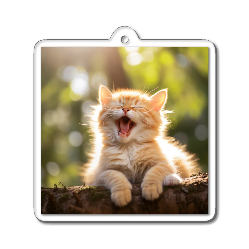 ショップ　猫まみれの子猫のあくび　yawning kitty Acrylic Key Chain