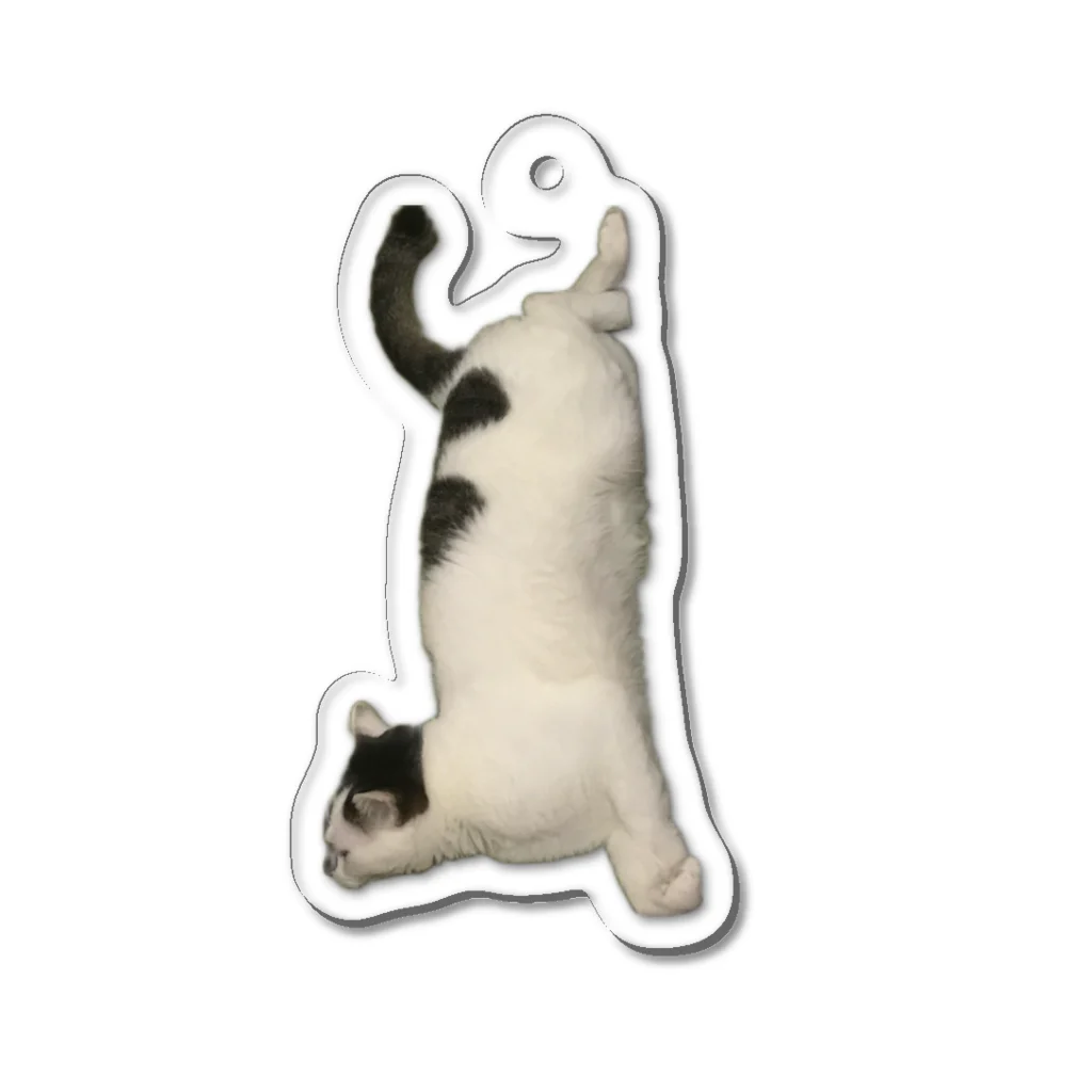 まっしゅまーとののび猫 Acrylic Key Chain