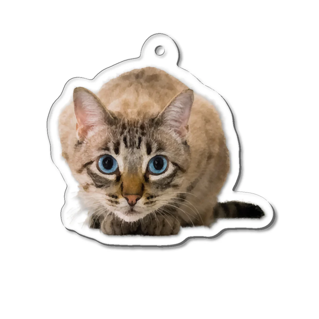 bitpiyoのねこちゃん Acrylic Key Chain