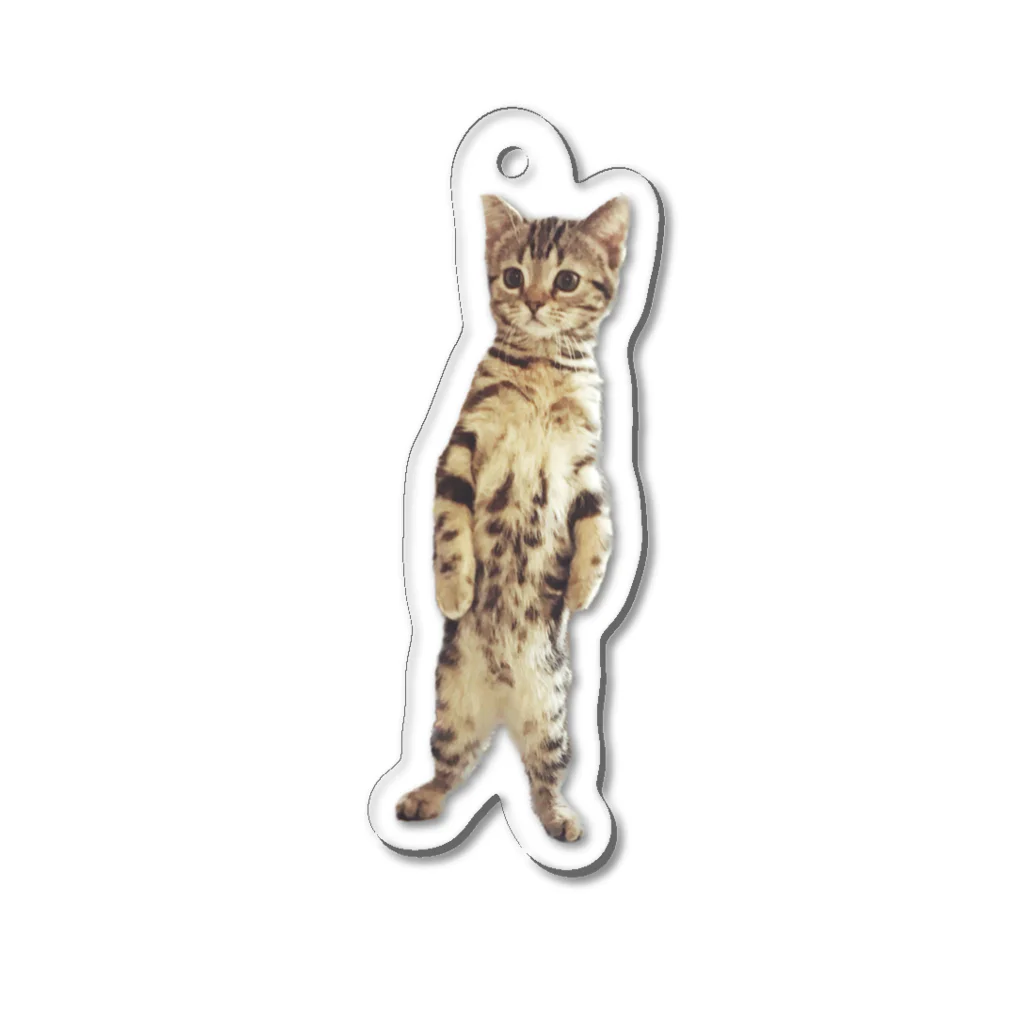 BCMの立つ猫 Acrylic Key Chain