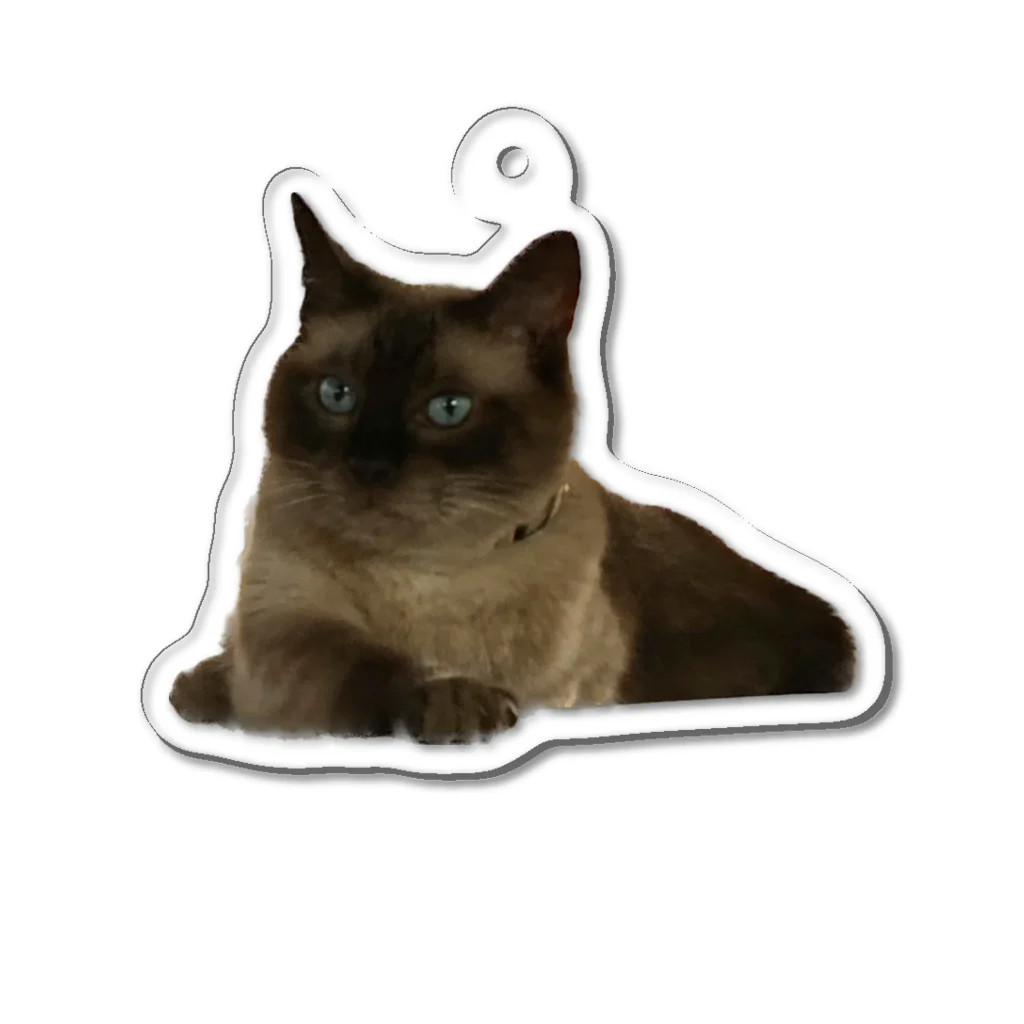 にくみその義実家猫ちゃん Acrylic Key Chain