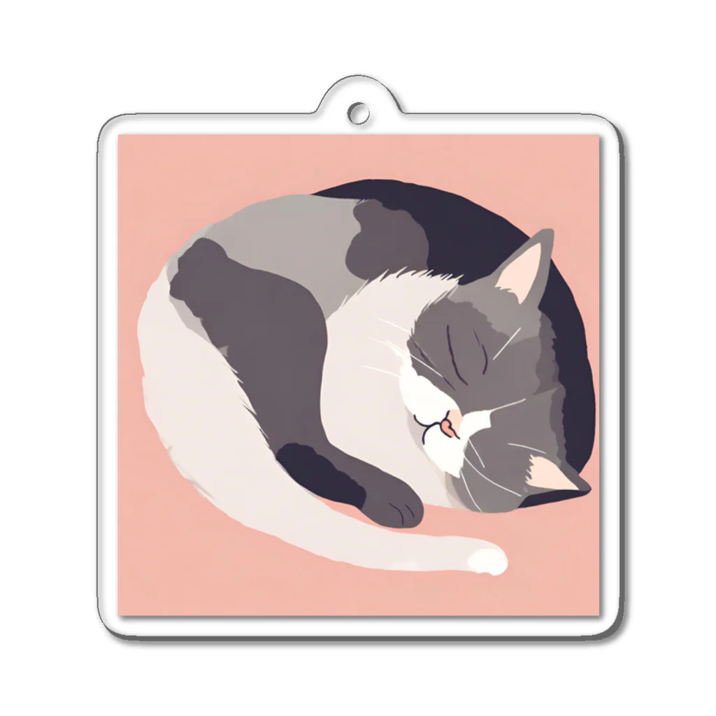 銀の時の寝ている猫のイラスト Acrylic Key Chain