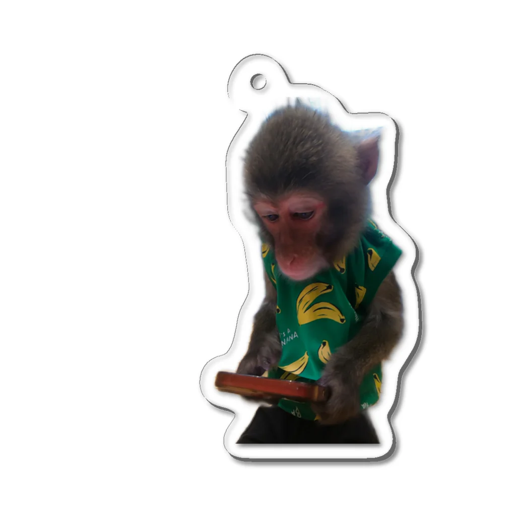 SUO MONKEY 周防猿まわしの会のQたろうジュニア携帯 Acrylic Key Chain